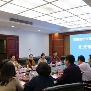 滄州民建考察團、南寧市民建調(diào)研組——行來我集團參觀考察 ... ...
