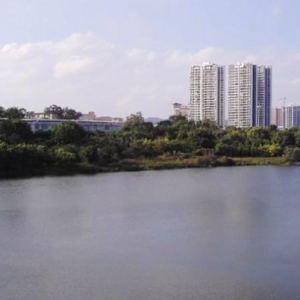 江北西堤擴(kuò)建排澇項目心圩江泵站10KV外線工程10KV交聯(lián)聚乙烯電纜 ...