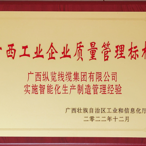 縱覽線纜集團再榮獲廣西工業(yè)企業(yè)質量管理標桿
