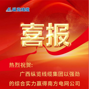 縱覽線纜集團(tuán)斬獲南方電網(wǎng)“億元標(biāo)”——以優(yōu)異成績(jī)慶賀2023全國(guó)兩會(huì)勝利召開！ ...